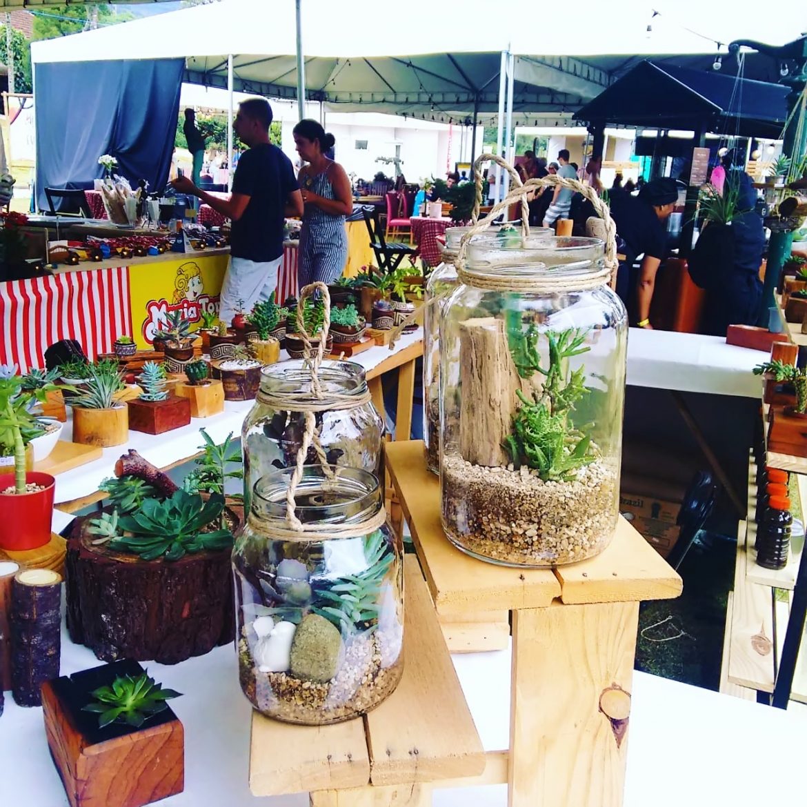 Primeira Feira de Orgânicos 100% Sustentável do Brasil!