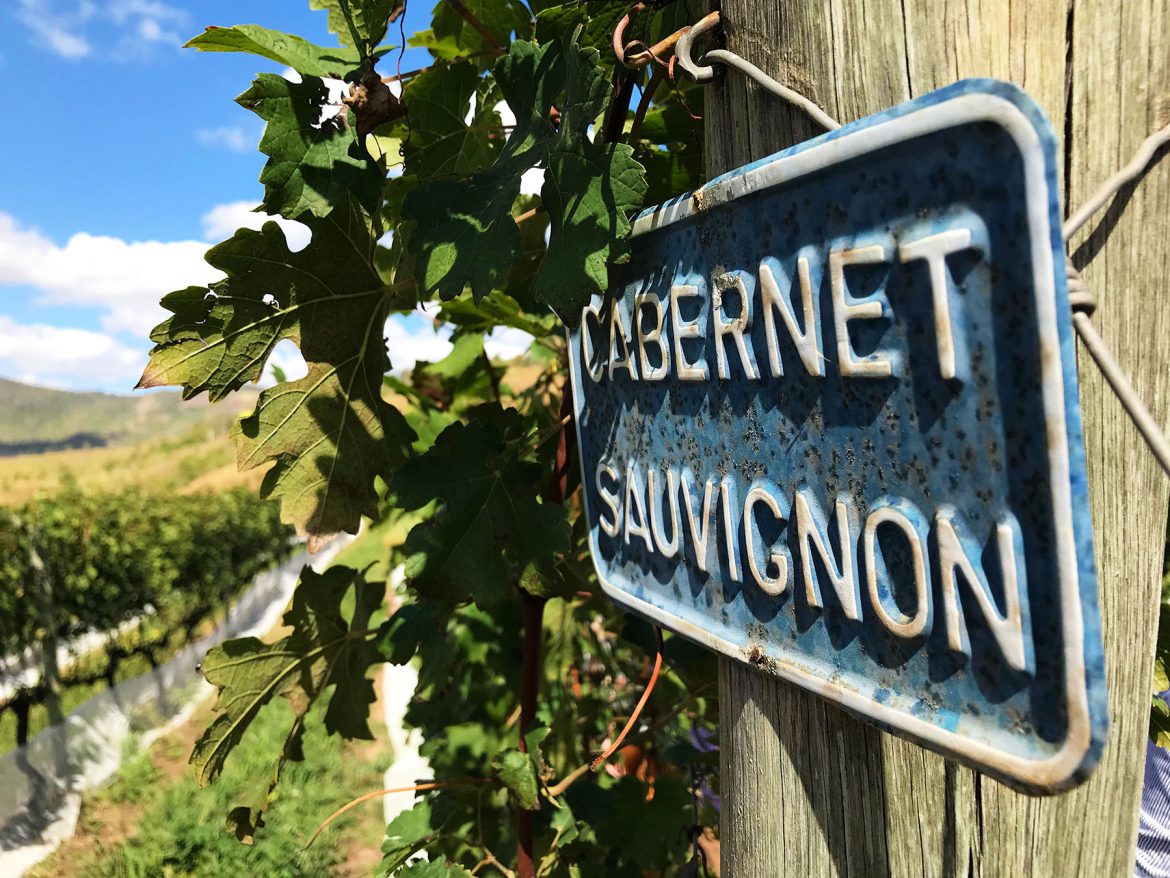 Chef Dann Mattos Promove Nova Edição do Passeio Gastronômico pela Estrada Real!