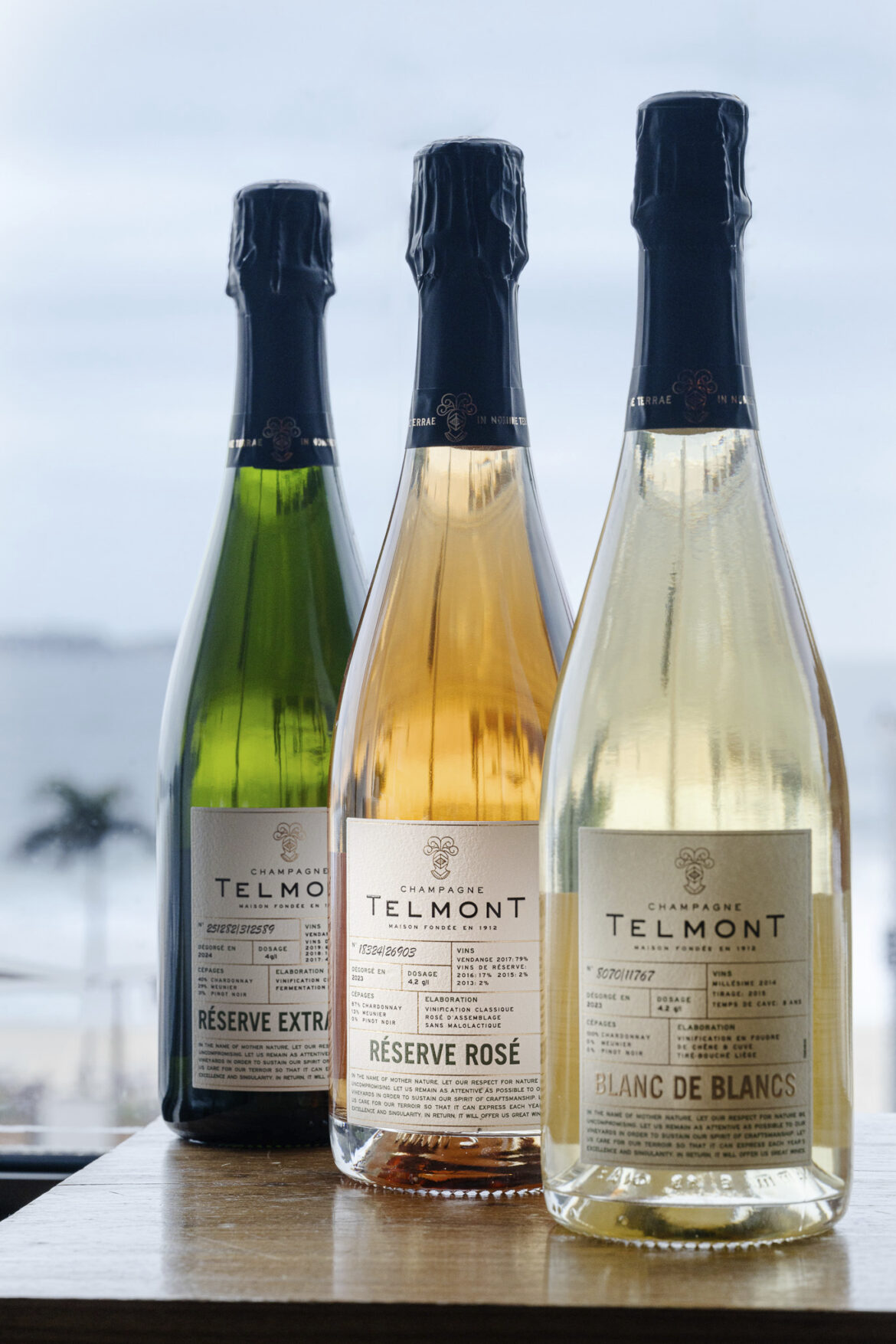 Interfood traz ao Brasil champagnes Telmont, rótulo oficial do Festival de Cannes